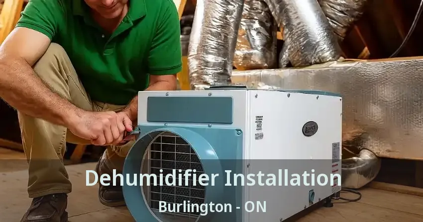 Dehumidifier Installation Burlington - ON