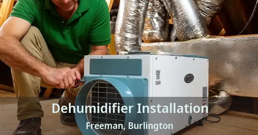 Dehumidifier Installation Freeman, Burlington - ON