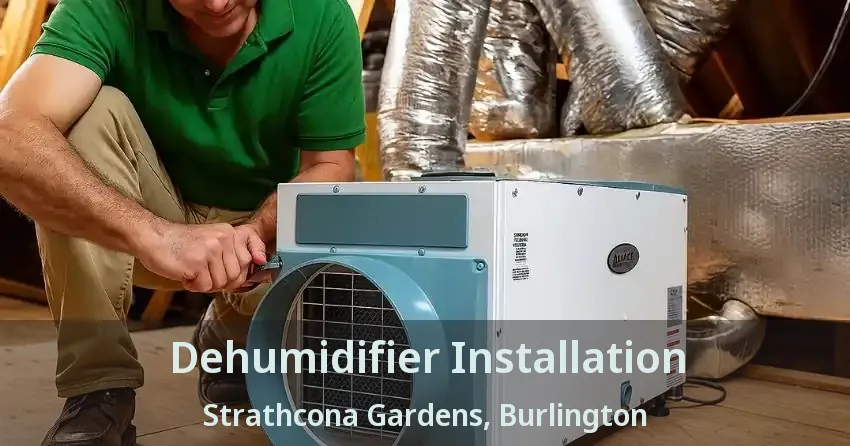 Dehumidifier Installation Strathcona Gardens, Burlington - ON