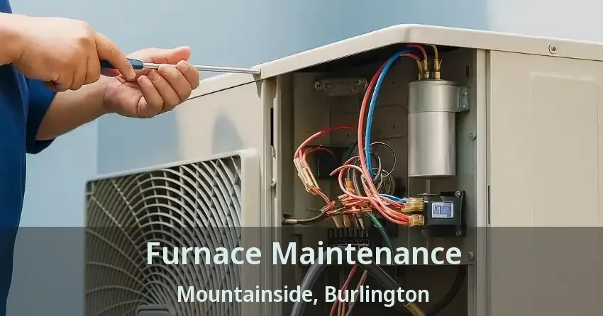 Furnace Maintenance Mountainside, Burlington - ON