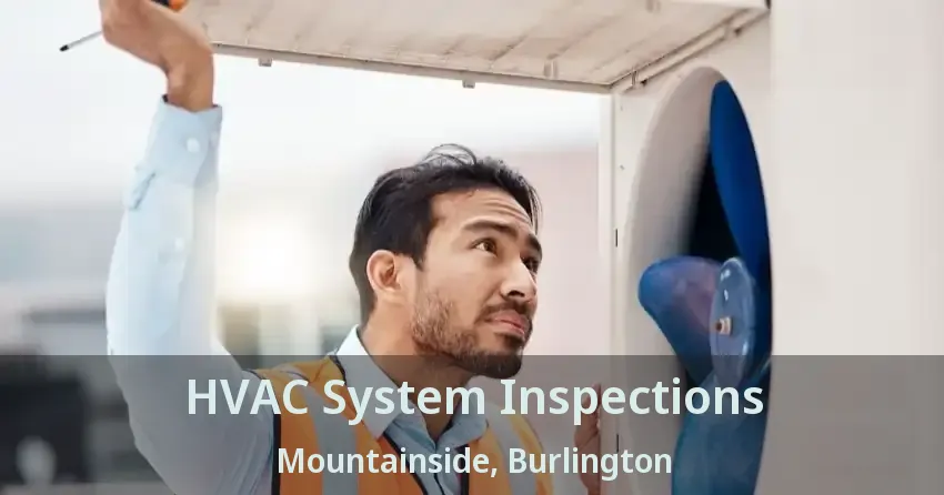 HVAC System Inspections Mountainside, Burlington - ON