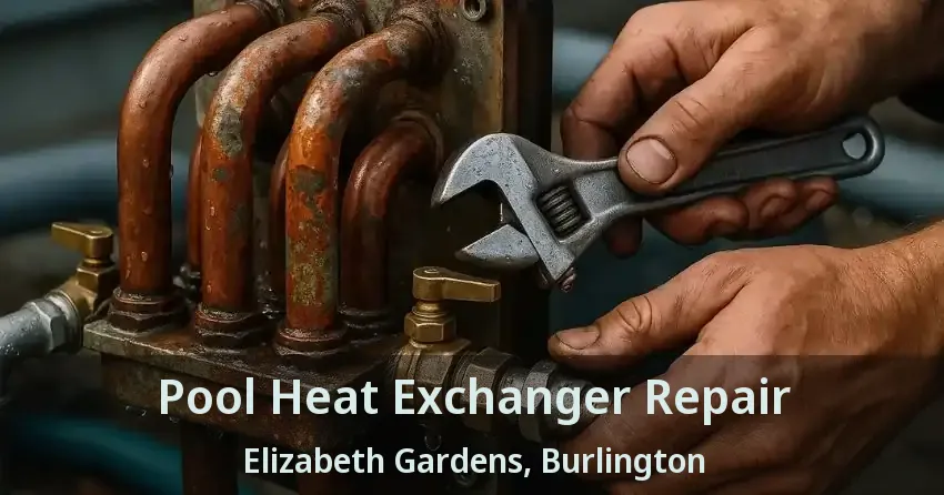 Pool Heat Exchanger Repair Elizabeth Gardens, Burlington - ON